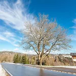 Haus Am Kreuzbuehl Appartamento Wittenschwand