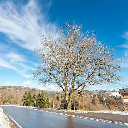 Haus Am Kreuzbuehl Апартаменты Wittenschwand